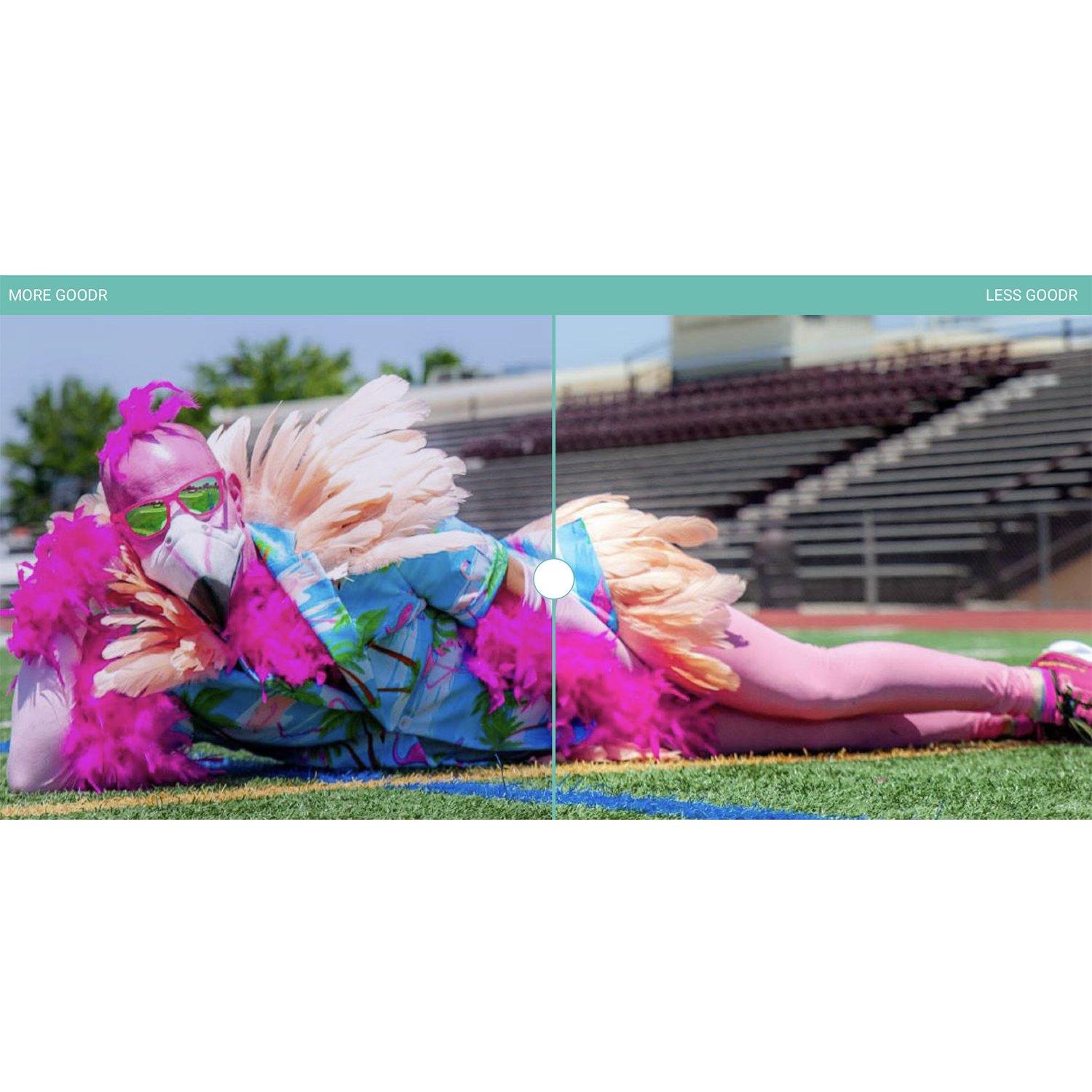 Goodr Sunglasses - Phoenix At A Bloody Mary Bar - socksforliving.com