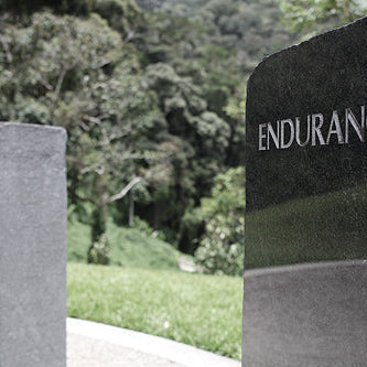 The Pro Lab: The Kokoda Foundation - Gear, Grit, and the Jungle Reality
