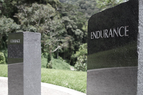 The Pro Lab: The Kokoda Foundation - Gear, Grit, and the Jungle Reality