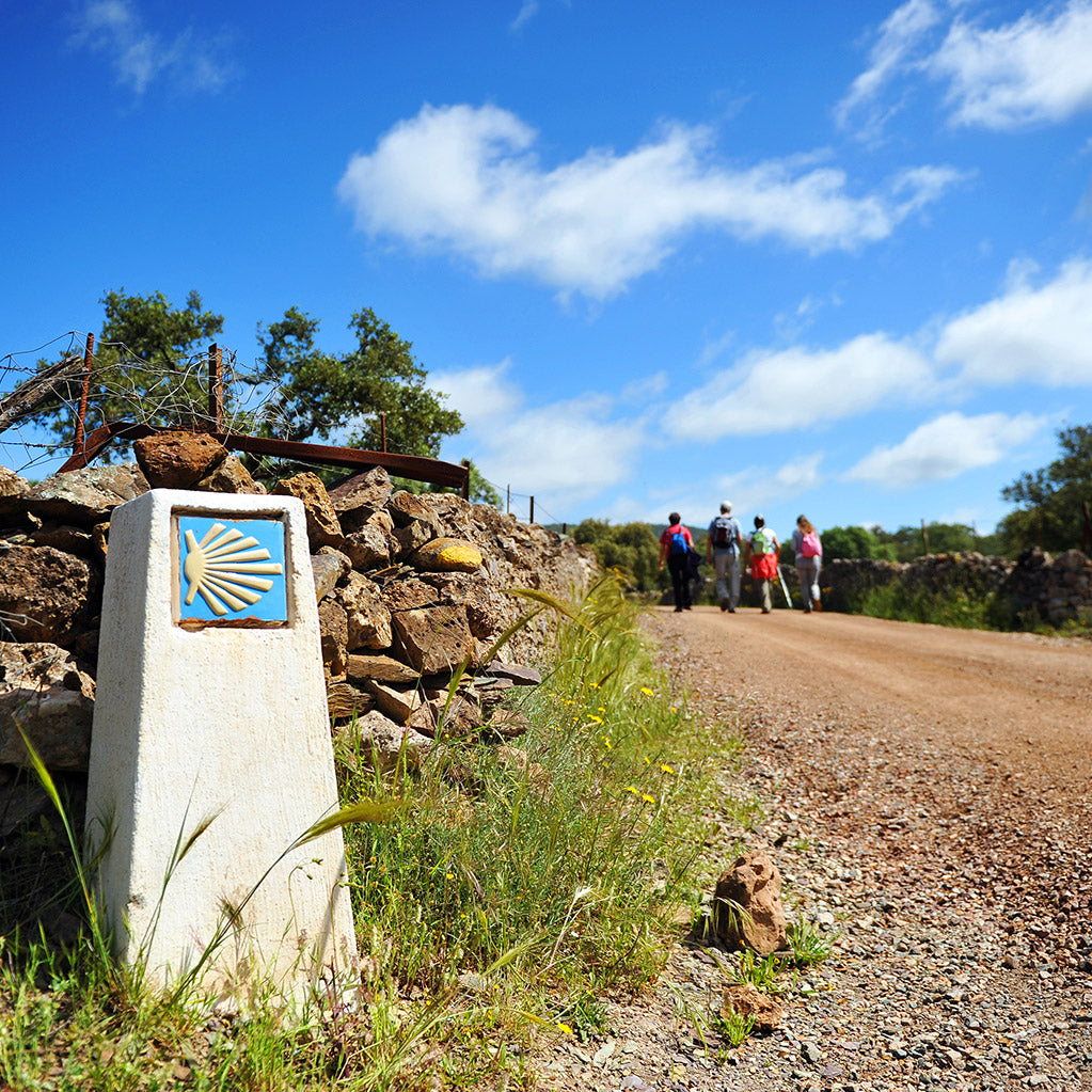 The Pro Lab: The Camino de Santiago - The Best Socks for the Camino!