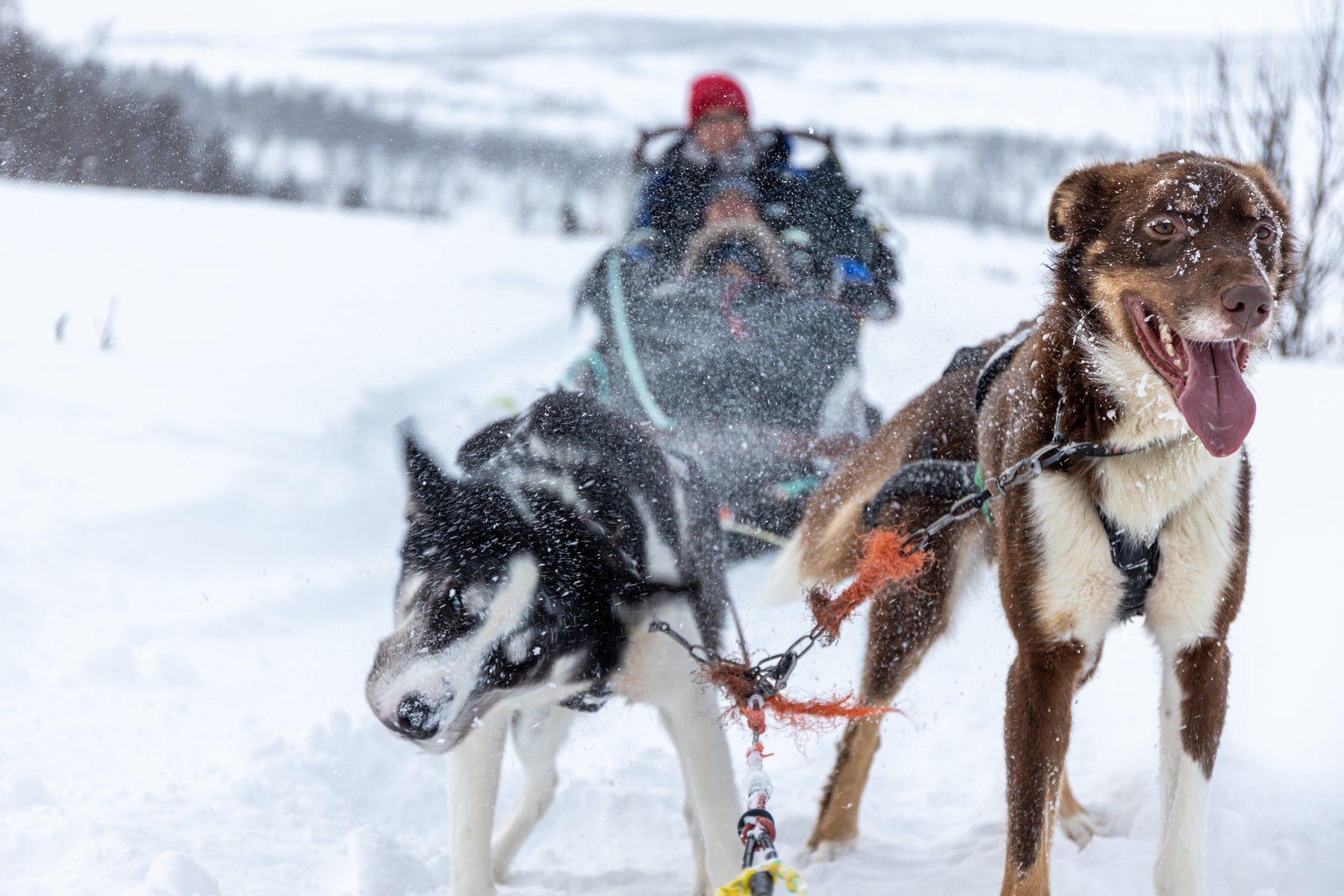 The ProLab: Extreme Cold Socks - What Actually Works (From Someone Who Froze Their Toes in the Alaskan Interior)