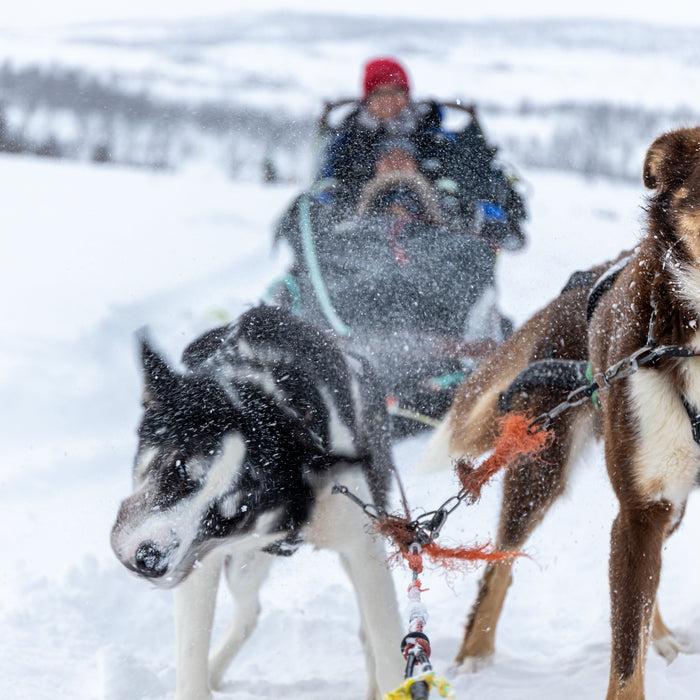 The ProLab: Extreme Cold Socks - What Actually Works (From Someone Who Froze Their Toes in the Alaskan Interior)