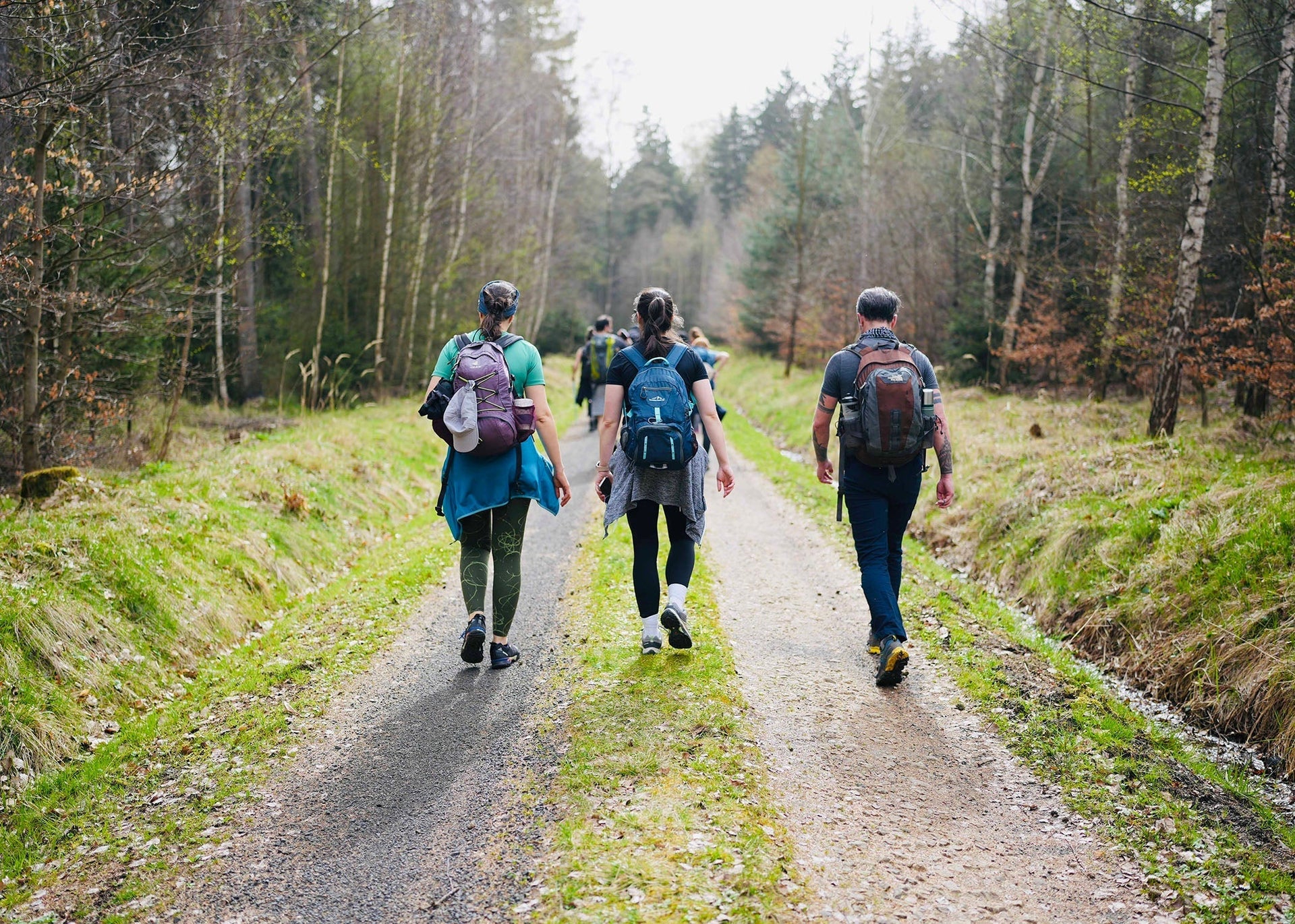 The ProLab: The 100km Threshold: Engineering Your Footwear for Ultra-Distance Events