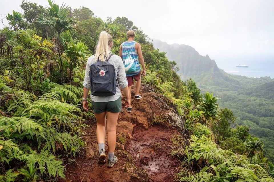 Trekking the Tropics: What Are The Best Socks for Hiking in the Jungle?