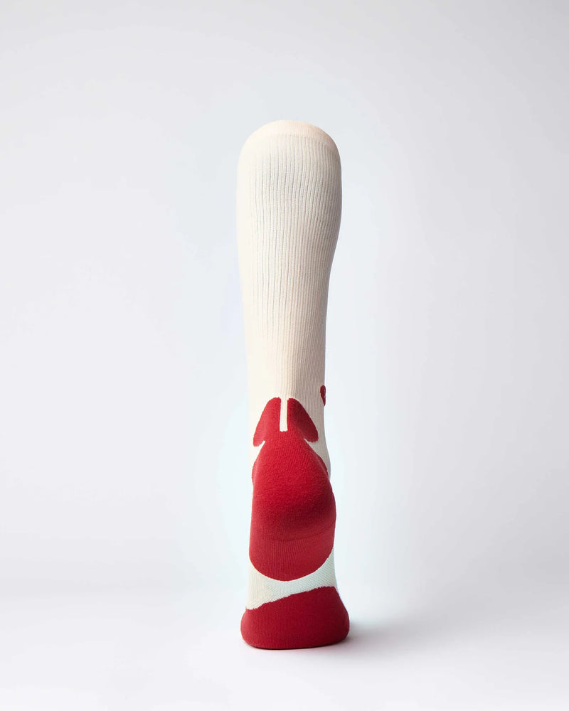 BIOSx Everyday 24/7 Compression Socks - Pink