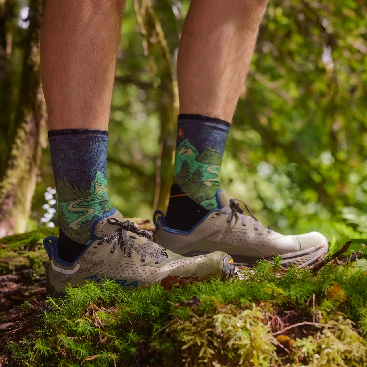 Smartwool Run Targeted Cushion Neature Print Crew Socks