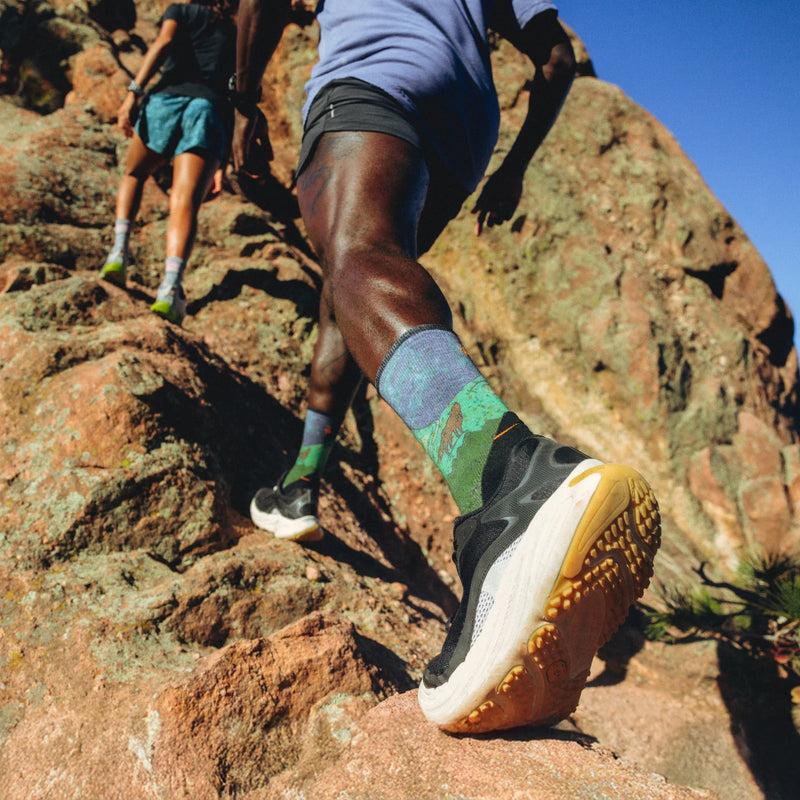 Smartwool Run Targeted Cushion Neature Print Crew Socks