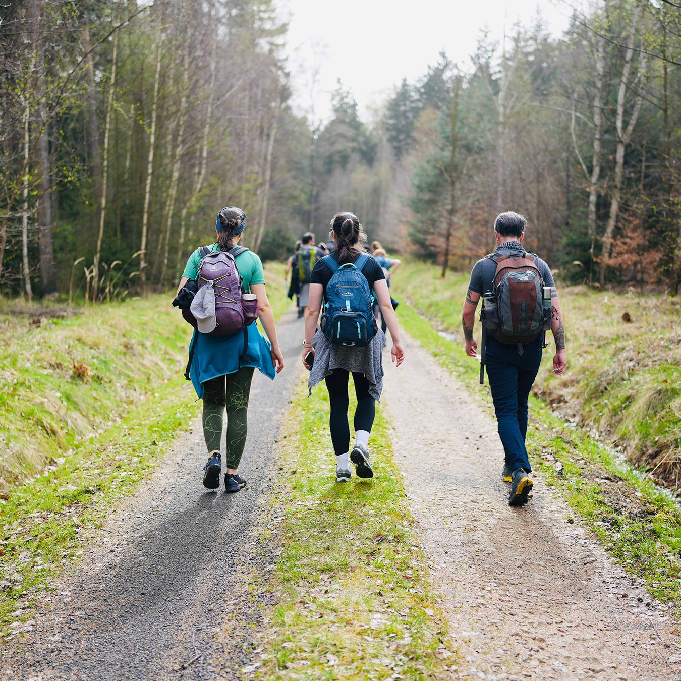 Hiking & Walking Socks
