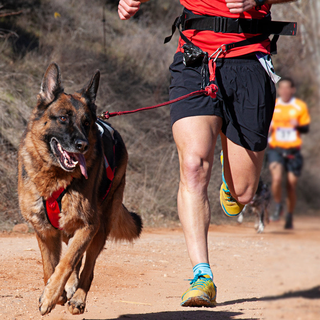 Trail Running Socks