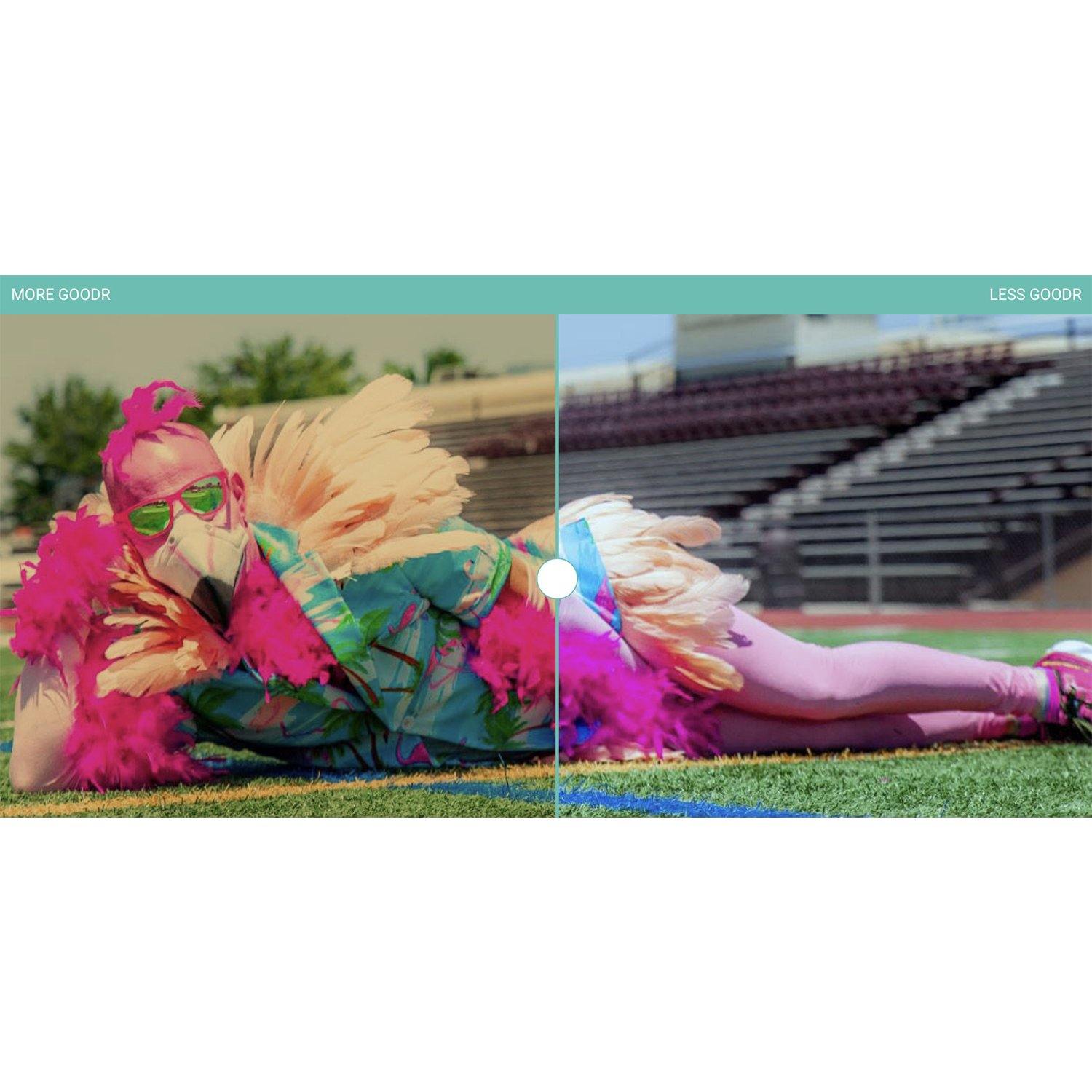 Goodr Sunglasses - Bosley’s Basset Hound Dreams - socksforliving.com