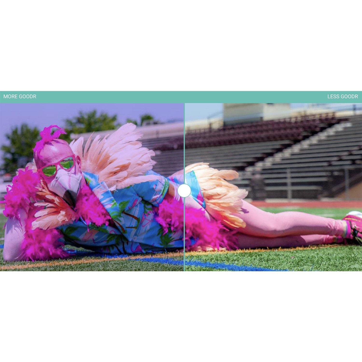 Goodr Sunglasses - Flamingos On A Booze Cruise - socksforliving.com